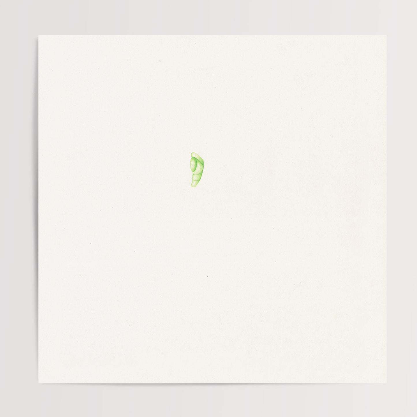 Morceaux verts