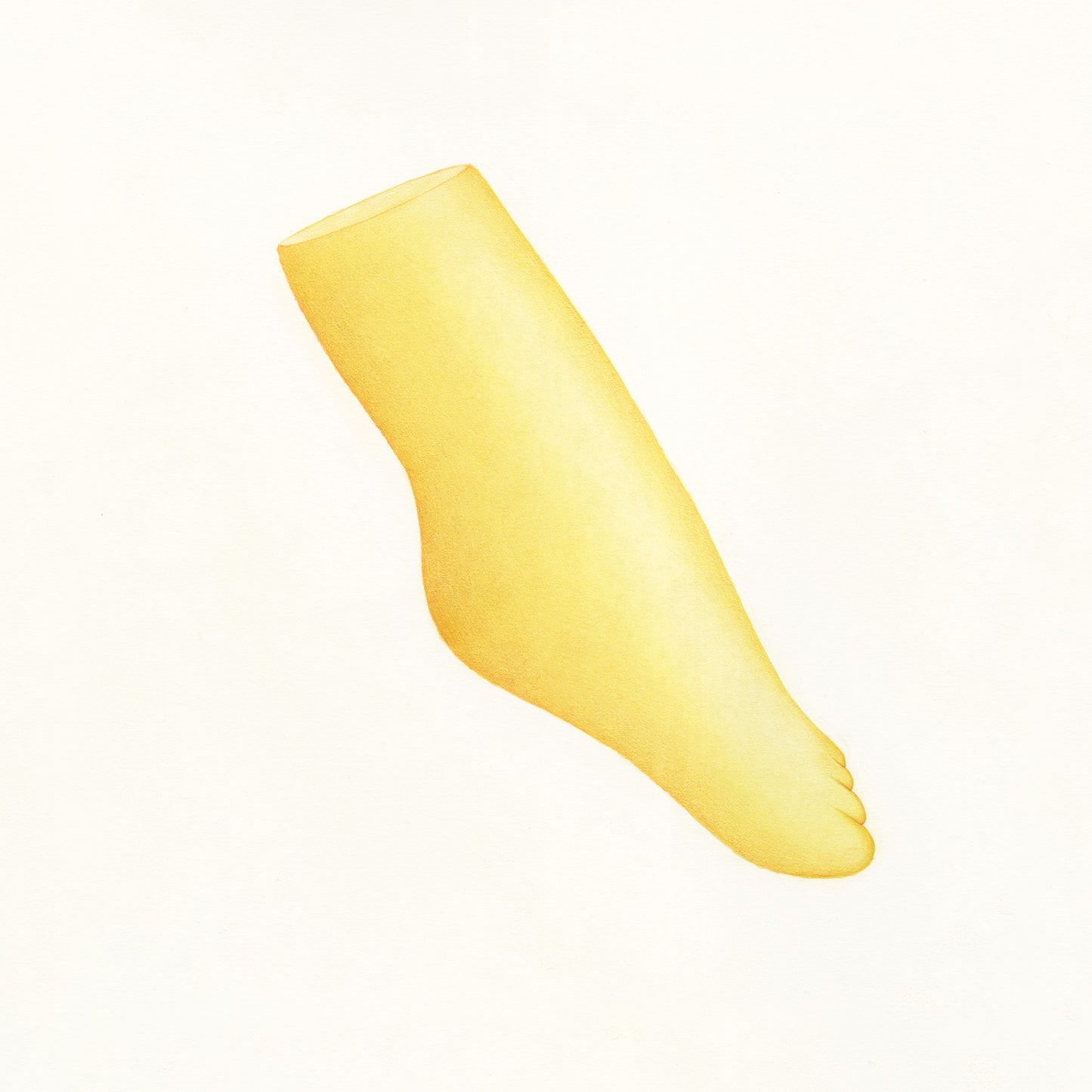 Pied 01
