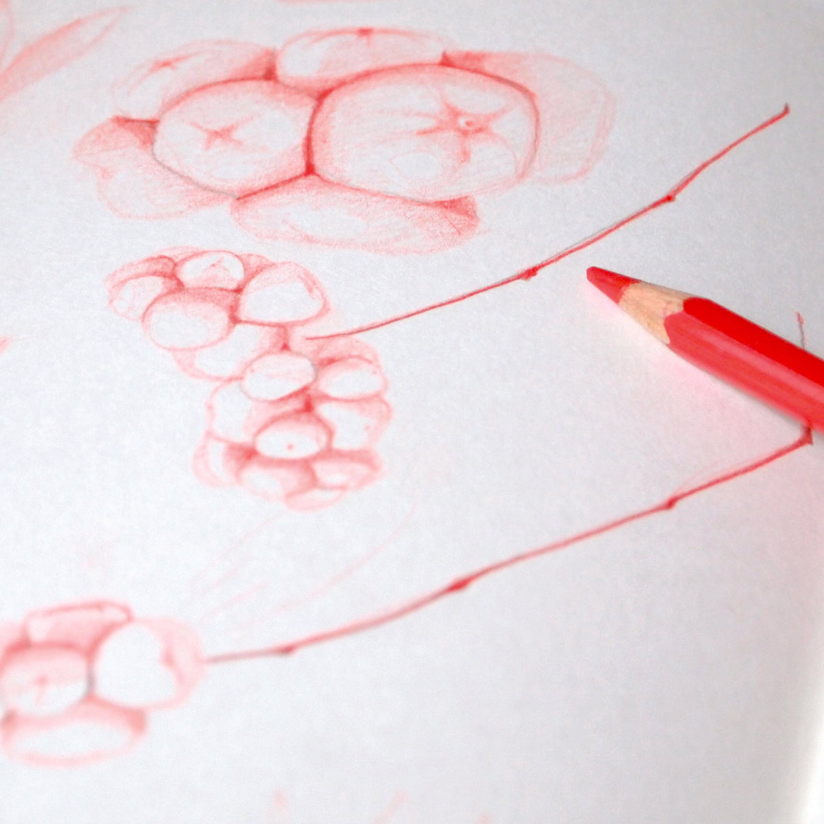 COURS PARTICULIER DE DESSIN | En ligne