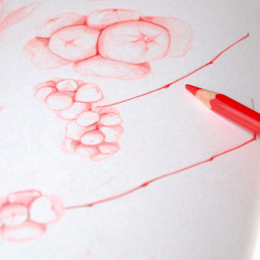 COURS PARTICULIER DE DESSIN | En ligne