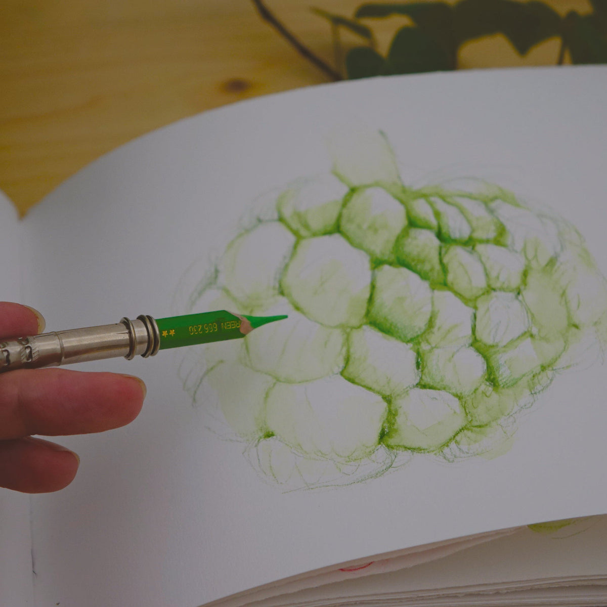 COURS PARTICULIER DE DESSIN | En ligne