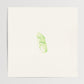 Morceaux verts