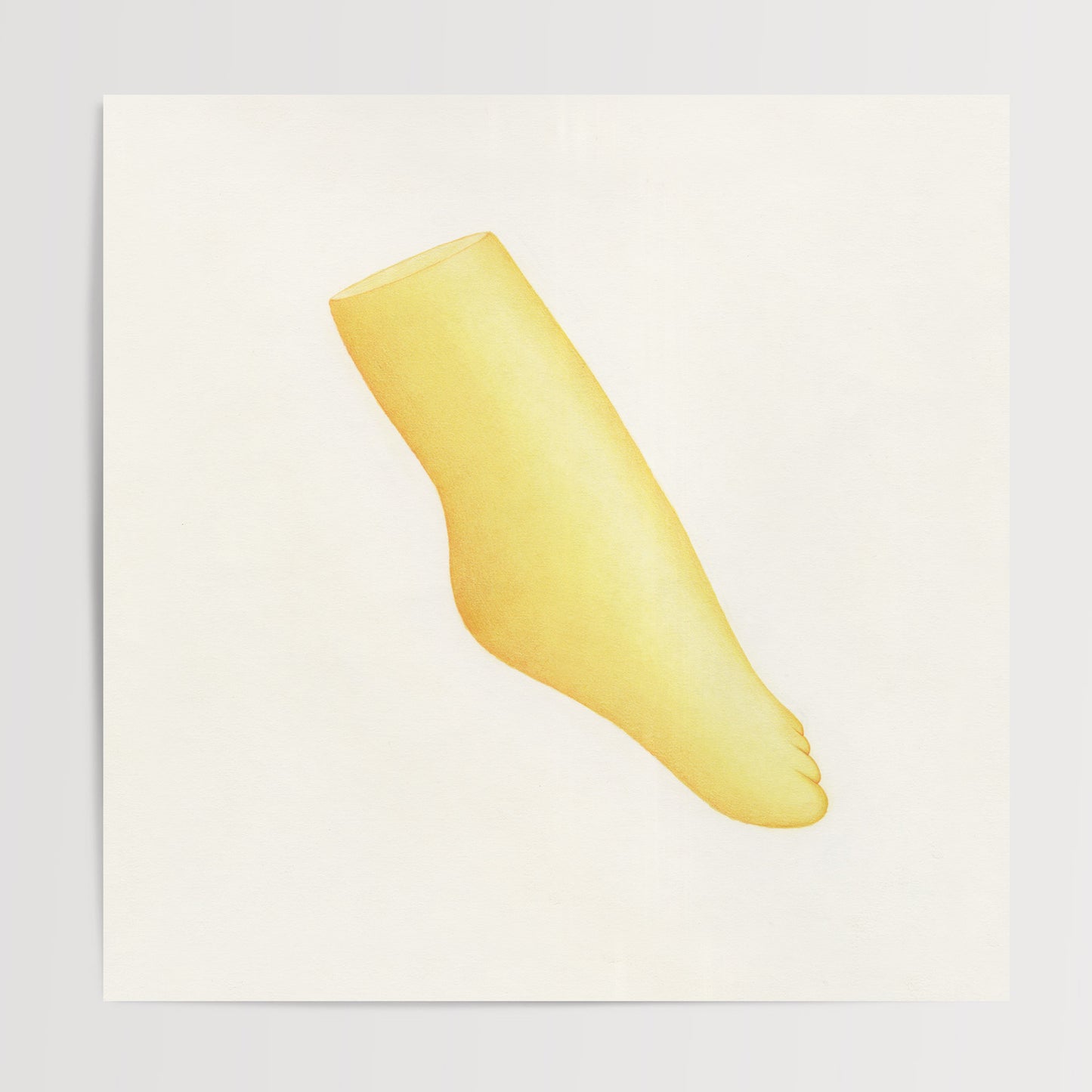 Pied 01