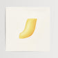 Pied 05