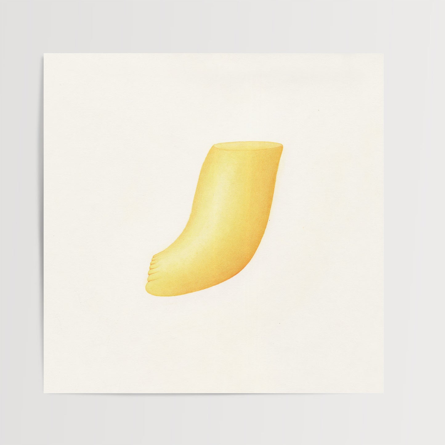 Pied 05