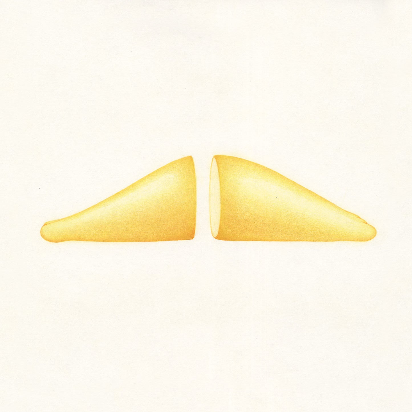 Pied 04