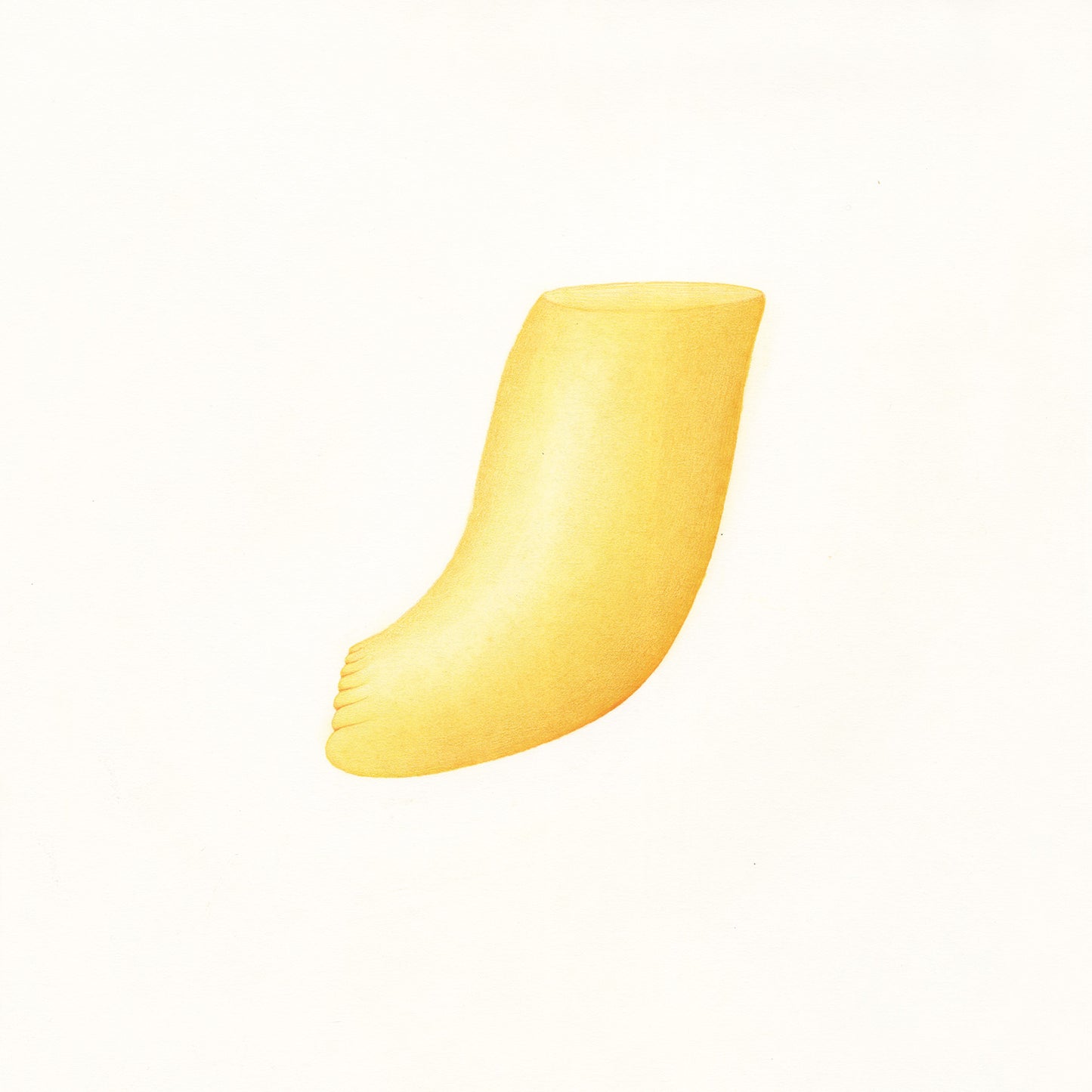 Pied 05