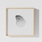 Variation 07