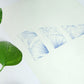 "Pied fleuri-bleu"| Dessin original